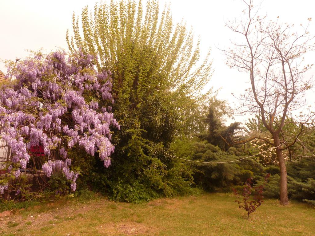 Villa Dobo Tanya Roszke Esterno foto