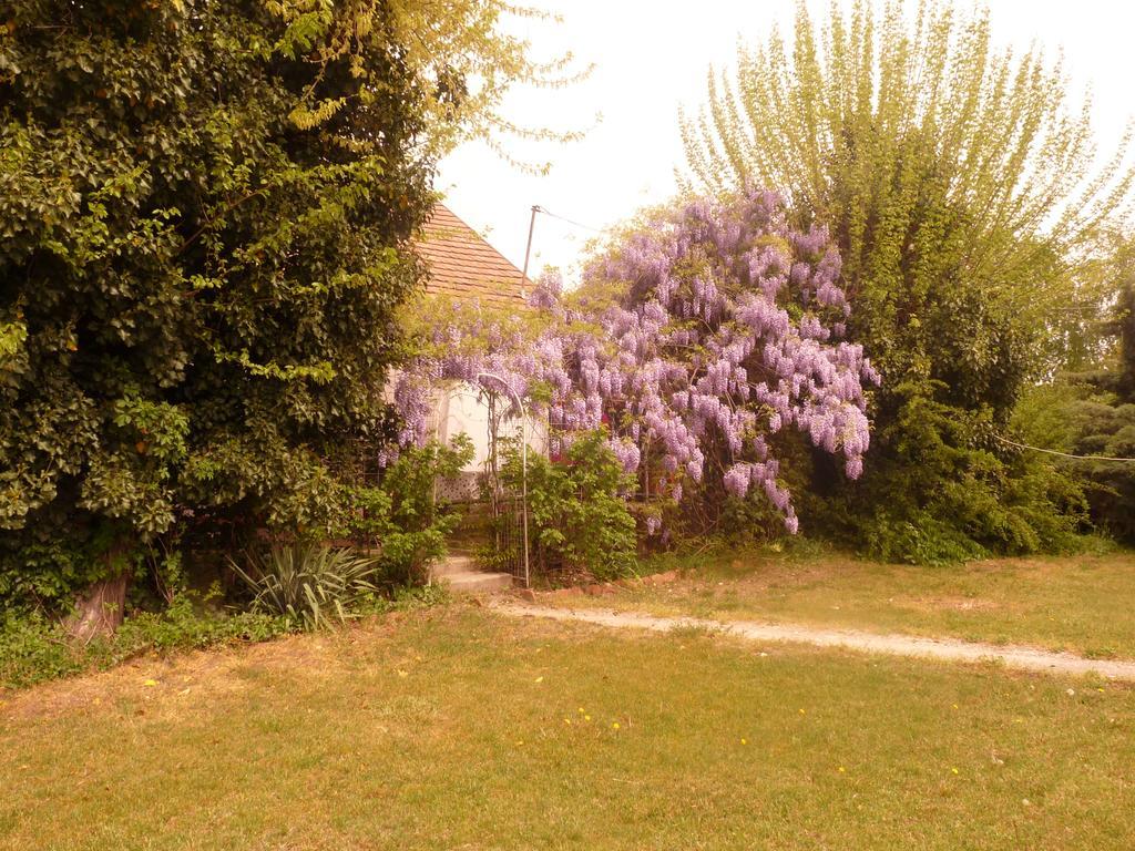 Villa Dobo Tanya Roszke Esterno foto