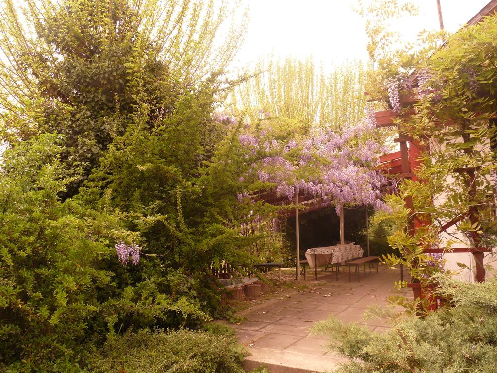 Villa Dobo Tanya Roszke Esterno foto