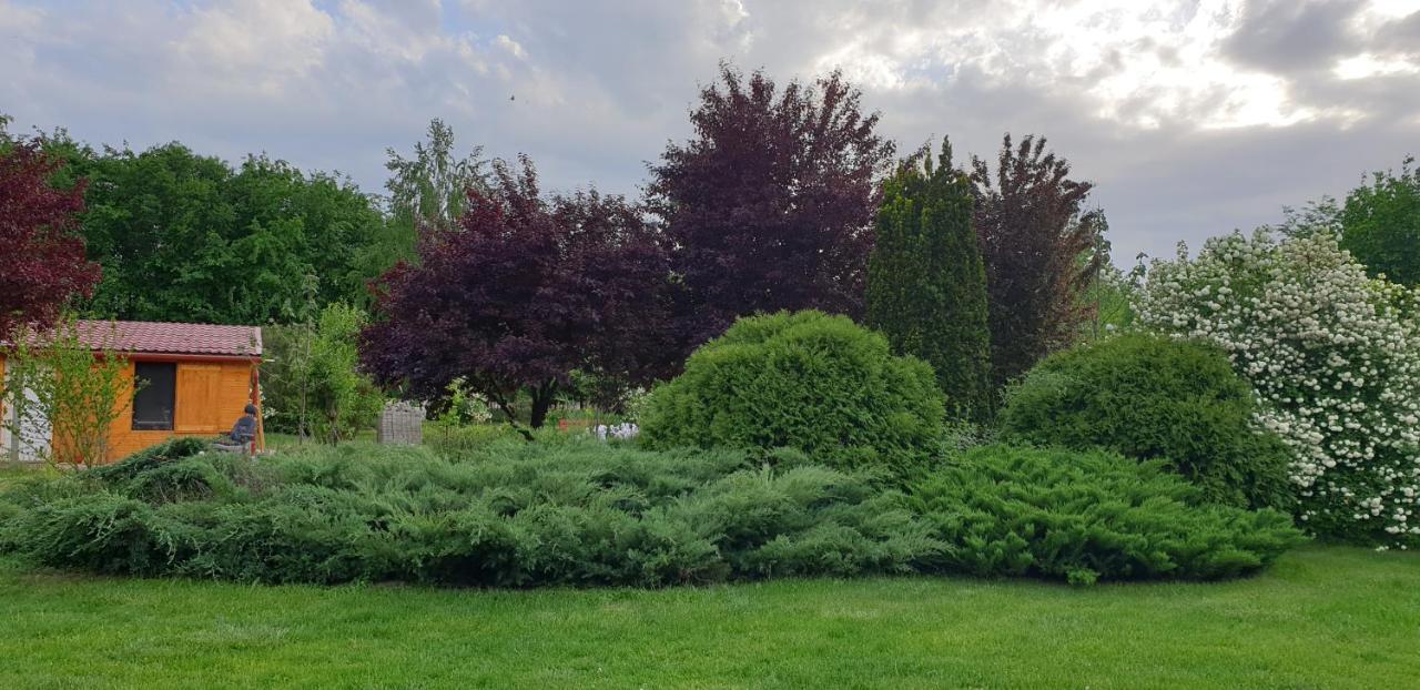 Villa Dobo Tanya Roszke Esterno foto