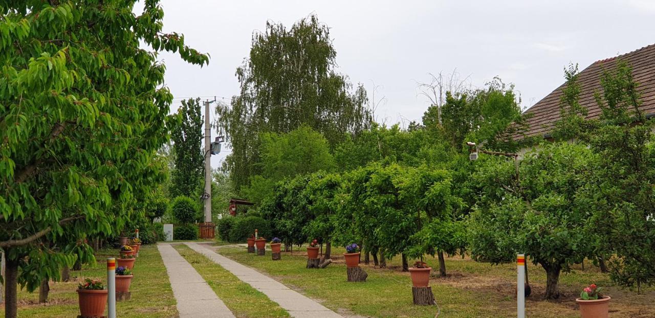 Villa Dobo Tanya Roszke Esterno foto