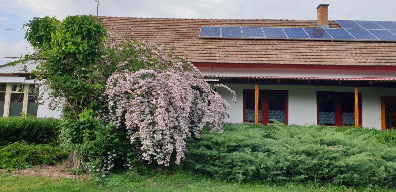 Villa Dobo Tanya Roszke Esterno foto