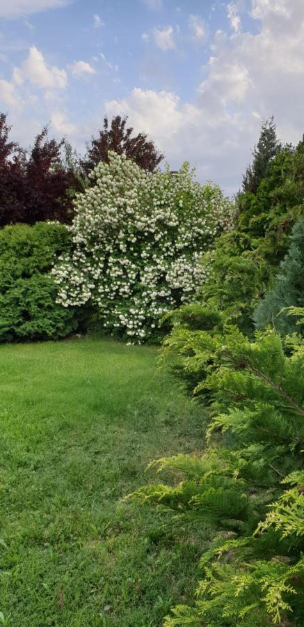 Villa Dobo Tanya Roszke Esterno foto