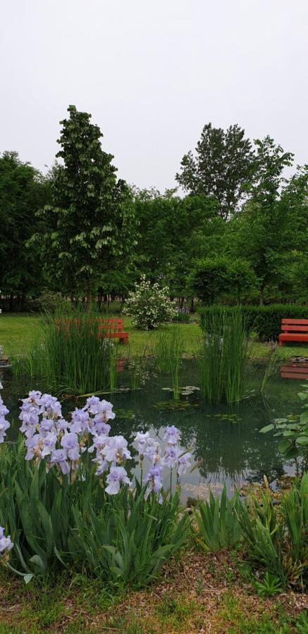 Villa Dobo Tanya Roszke Esterno foto